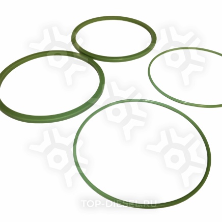 74061012000 Ремкомплект масляного фильтра Камаз Евро силикон Kamaz купить рис.2