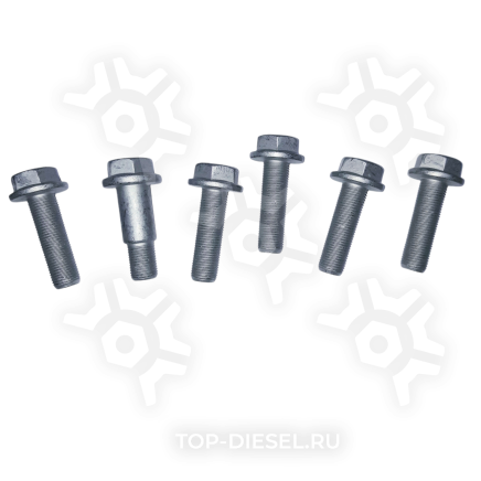 075617 Комплект болтов крепления тормозного диска 6штук SAF Sampa купить