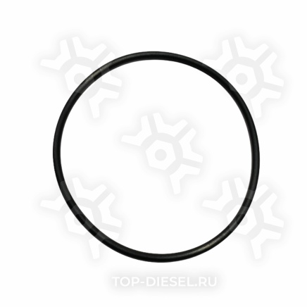 3684037 Уплотнительное кольцо Cummins 3684037 купить