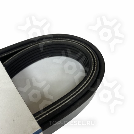 6PK1613 Ремень поликлиновой привода кондиционера Volvo VNL/Cummins ISX Dayco купить рис.3