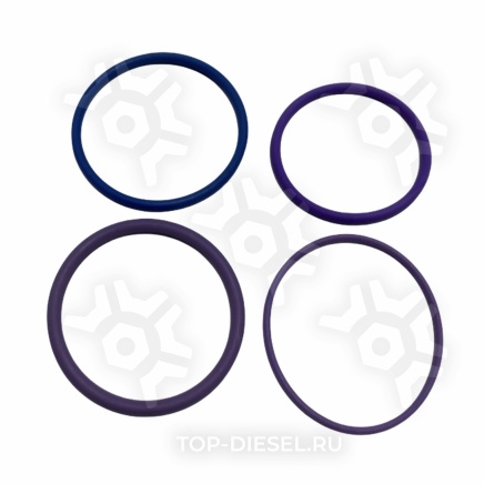 369521 Кольца уплотнительные форсунки резиновые Volvo FH12 D12A ELRING купить