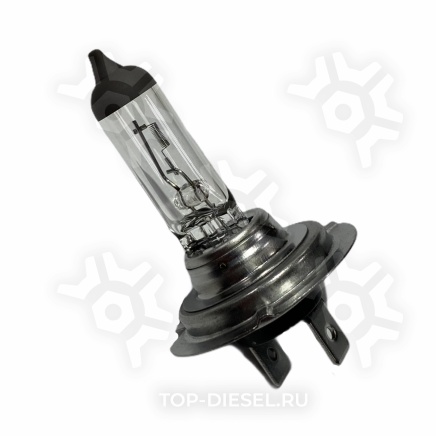 N499 Лампа галогенная H7 12V 55W PX26D Neolux купить