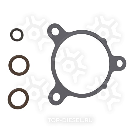 631316152 Прокладка клапана Detroit Diesel EGR, Freightliner/International PAI купить рис.3
