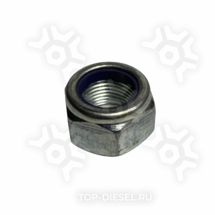 800117 Гайка стремянки M24x2 H=19 SW36 Onyarbi купить