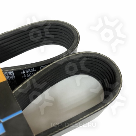 8PK880HD Ремень поликлиновой без кондиционера МАЗ/MAN TGA Dayco купить рис.3