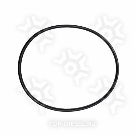 3940386 Уплотнительное кольцо ТНВД Cummins ISF 2.8 Cummins купить